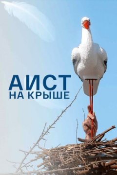 Постер: Аист на крыше