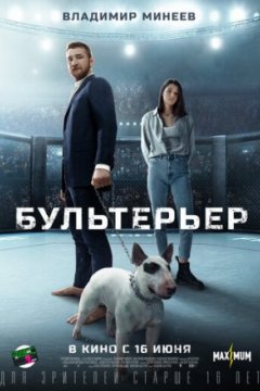 Постер: Бультерьер