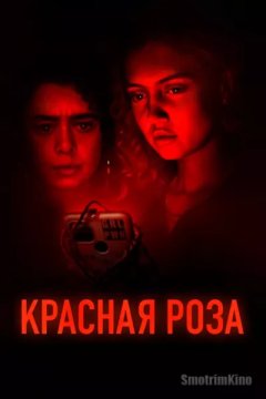 Постер: Красная роза