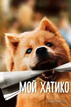 Постер: Мой Хатико