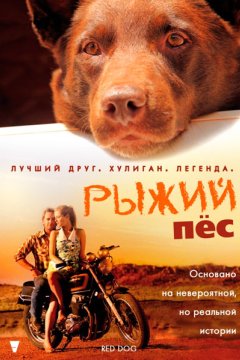 Постер: Рыжий пес