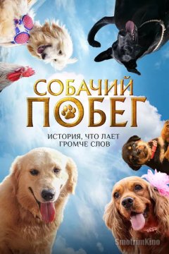 Постер: Собачий побег