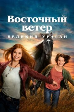 Постер: Восточный ветер. Великий ураган