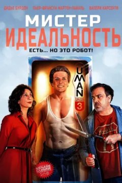 Постер: Мистер Идеальность