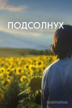 Постер: Подсолнух