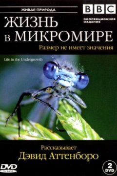 Постер: BBC: Жизнь в микромире