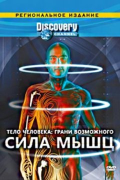 Постер: Discovery: Тело человека. Грани возможного