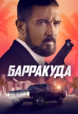 Барракуда